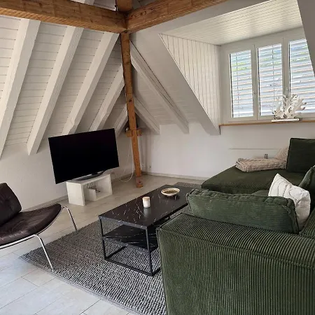 Appartamento Attic With Parking And View Zurigo