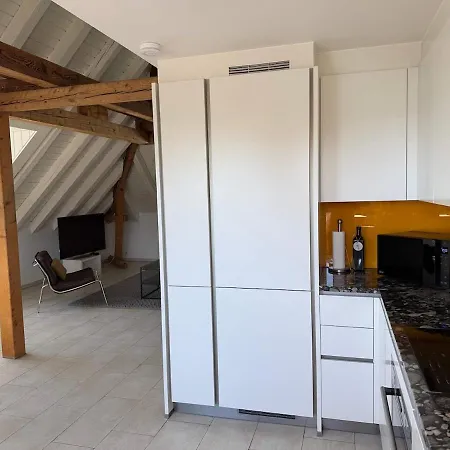 Attic With Parking And View Zurigo