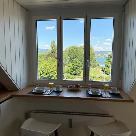 Attic With Parking And View * Zurigo