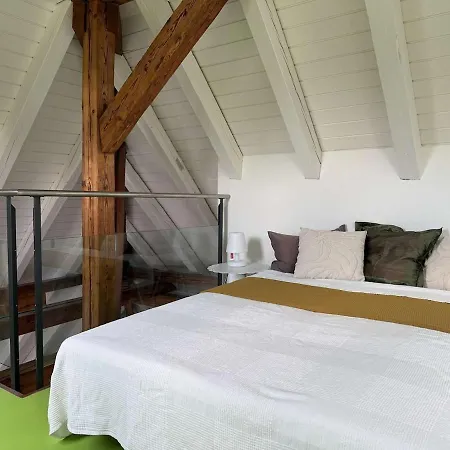Attic With Parking And View * Zurigo