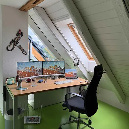 Attic With Parking And View Zurigo