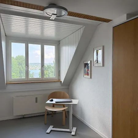 Attic With Parking And View Appartamento Zurigo